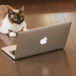 HuluやAmazonプライムビデオなどVODサービスを利用しているとあっという間に土日が終わる。
